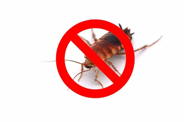 exterminator uxbridge